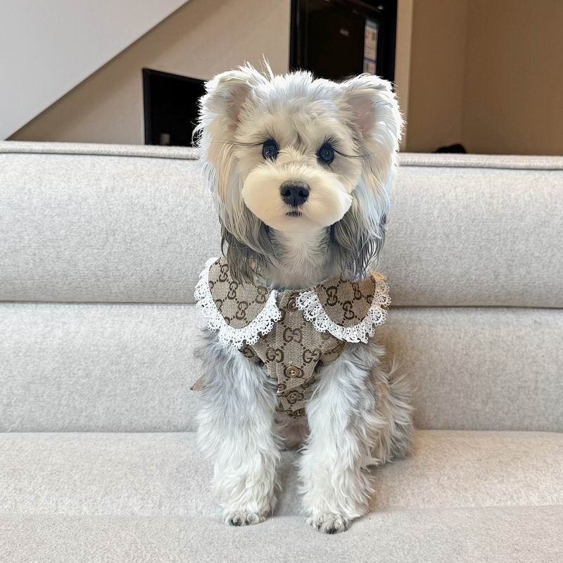 Vintage Gucci Girl Dog Dress